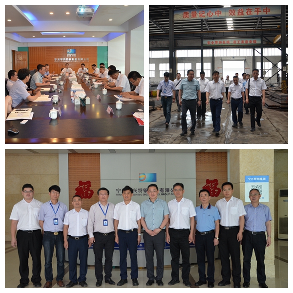 The Party Secretary of Dalang Town in Dongguan Visited Ningshing